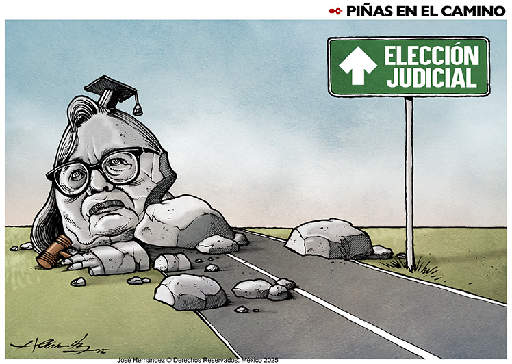Piñas en el camino